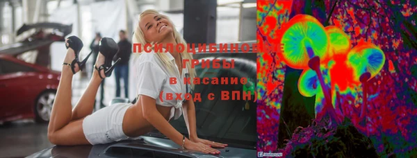 сатива Алексеевка