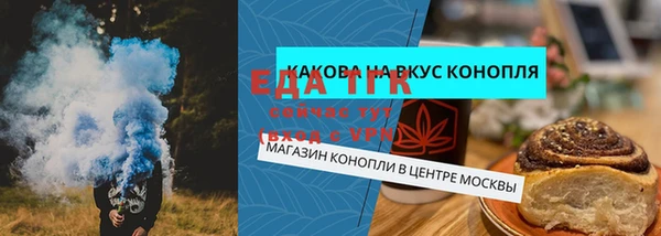 гидропоника Алзамай