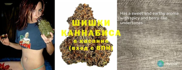сатива Алексеевка