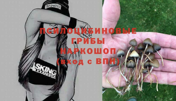 PSILOCYBIN Абдулино