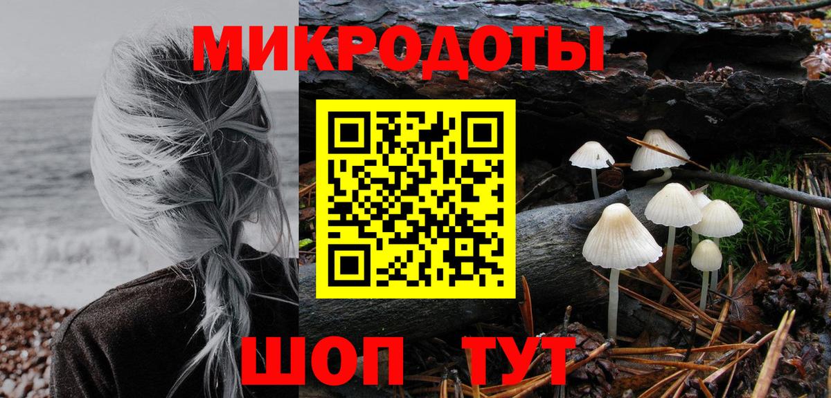Хасавюрт  Галлюциногенные грибы Cubensis  Вход с VPN 