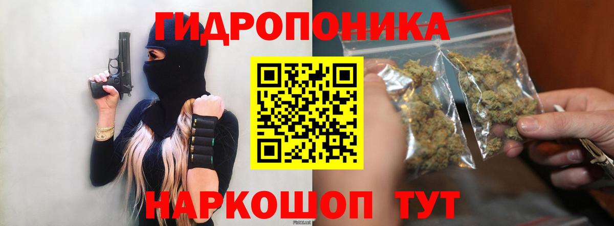 Шишки марихуана тримм Хасавюрт